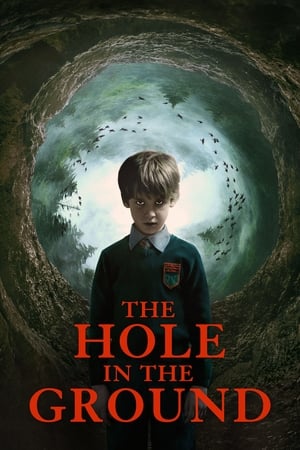 The Hole in the Ground 2019 Hindi Dual Audio 300MB HD Poster Download - Filmyzilla