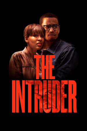 The Intruder (2019) Hindi Dual Audio [960MB] HD Poster Download - Filmyzilla