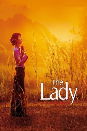 The Lady 2011 Dual Audio Hindi Movie - 920MB HD Poster Download - Filmyzilla