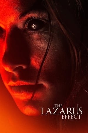 The Lazarus Effect (2015) Hindi Dual Audio 300MB HD Poster Download - Filmyzilla