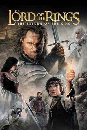 The Lord of the Rings: The Return of the King (2003) Hindi Dubbed [1.8GB] Download HD Poster Download - Filmyzilla
