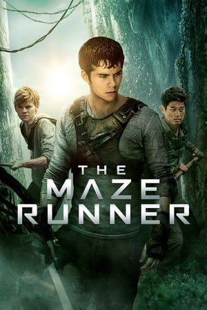 The Maze Runner (2014) Hindi Dual Audio 400MB HD Poster Download - Filmyzilla