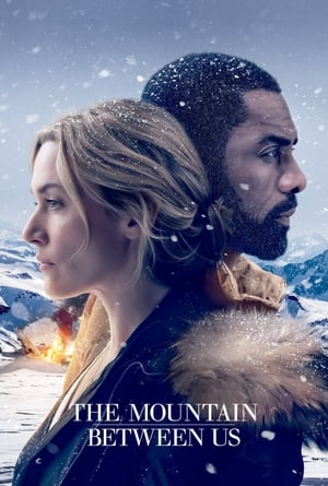 The Mountain Between Us 2017 Dual Audio Hindi 350MB HD Poster Download - Filmyzilla