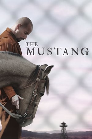 The Mustang (2019) Hindi Dual Audio 300MB HD Poster Download - Filmyzilla