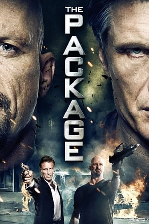 The Package (2013) Hindi Dual Audio [750MB] HD Poster Download - Filmyzilla