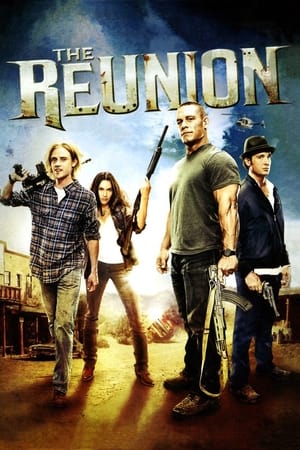 The Reunion (2011) Hindi Dual Audio [900MB] HD Poster Download - Filmyzilla