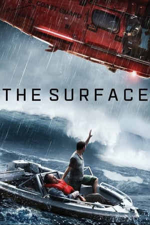 The Surface (2014) Hindi Dual Audio 300MB HD Poster Download - Filmyzilla
