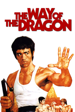 The Way of the Dragon (1972) Hindi Dual Audio [940MB] HD Poster Download - Filmyzilla