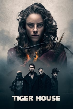 Tiger House (2015) Hindi Dual Audio [1.2GB] HD Poster Download - Filmyzilla