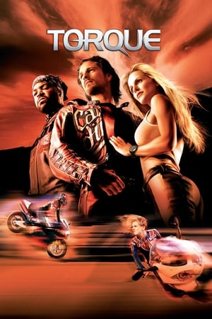 Torque 2004 300MB Hindi Dual Audio Download HD Poster Download - Filmyzilla