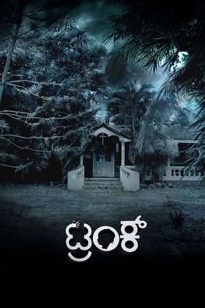 Trunk (2018) (Hindi – Kannada) Dual Audio 450MB HD Poster Download - Filmyzilla