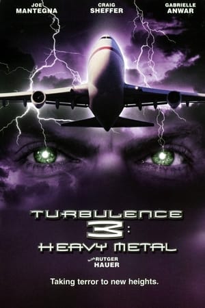 Turbulence 3 Heavy Metal 2001 Hindi Dual Audio 300MB HD Poster Download - Filmyzilla