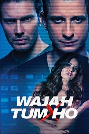 Wajah Tum Ho 2016 [PDVDRip] 700MB DDR HD Poster Download - Filmyzilla