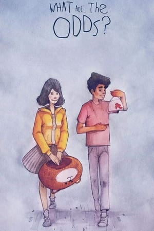 What Are the Odds (2020) Hindi Movie [900MB] HD Poster Download - Filmyzilla